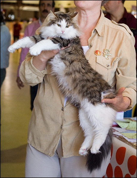 Inconnu 3.jpg - Inconnu